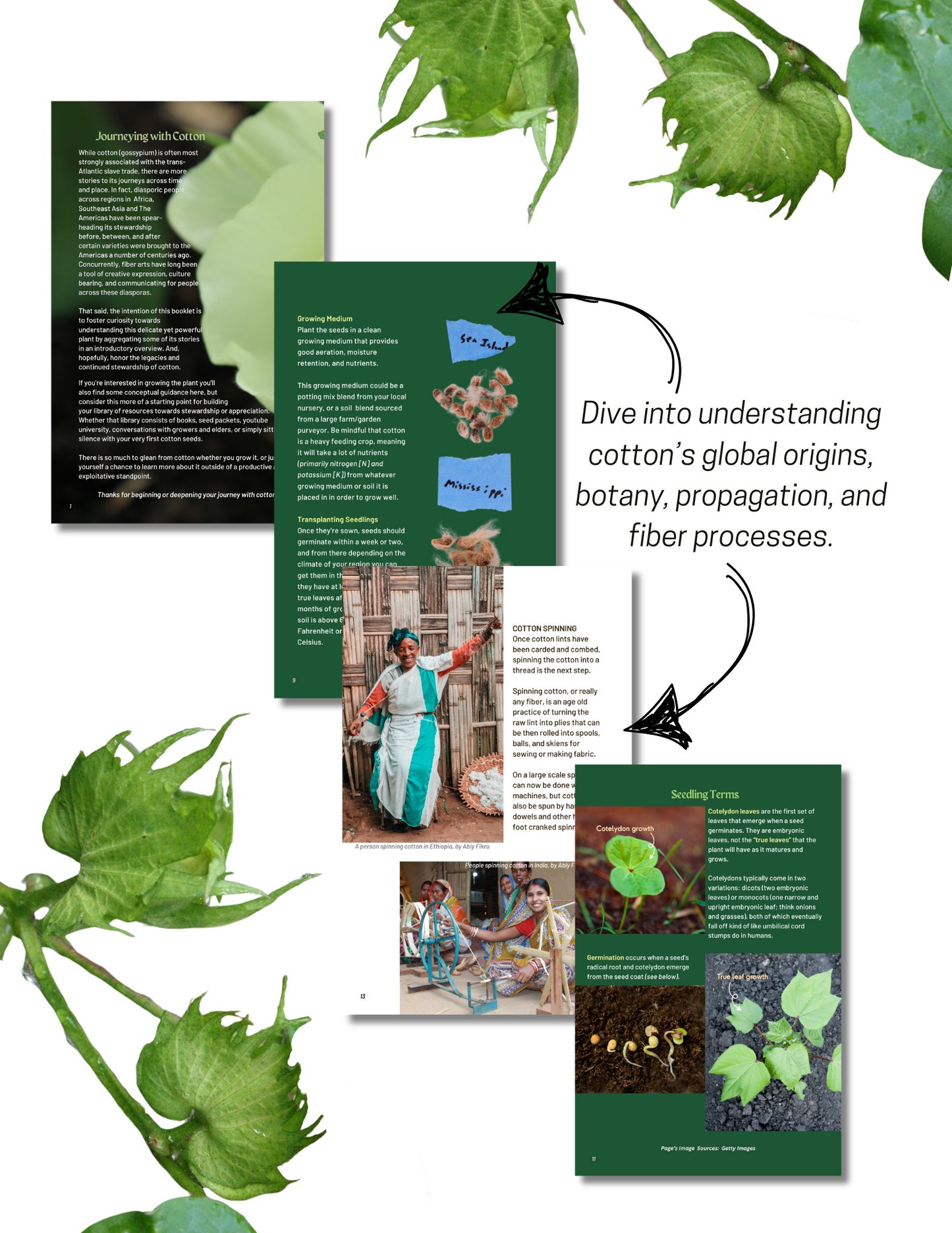 Gossy: A Journey with Cotton (PRINT)