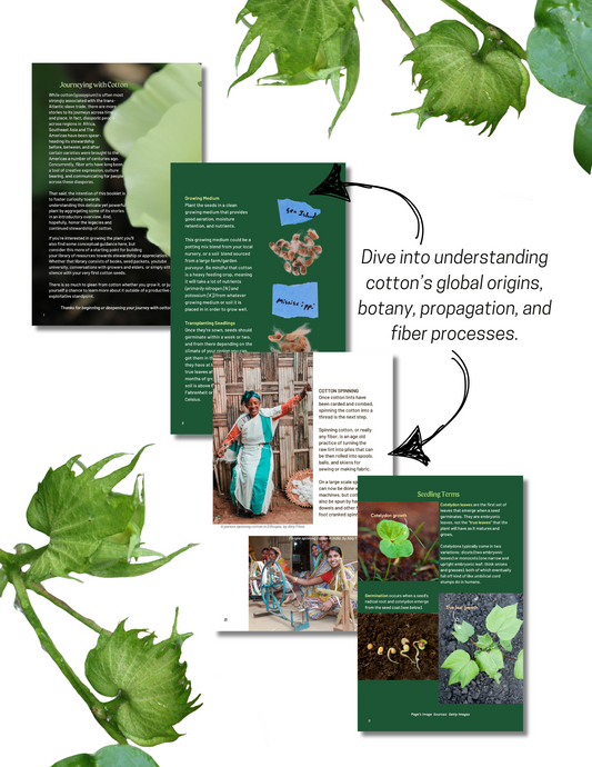 Gossy: A Journey with Cotton (PRINT)