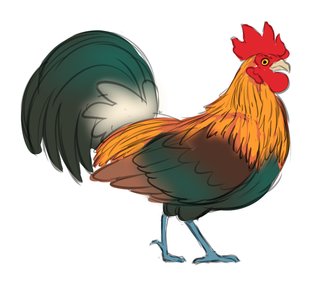 Chicken & Fowl Animal Profile (Digital)