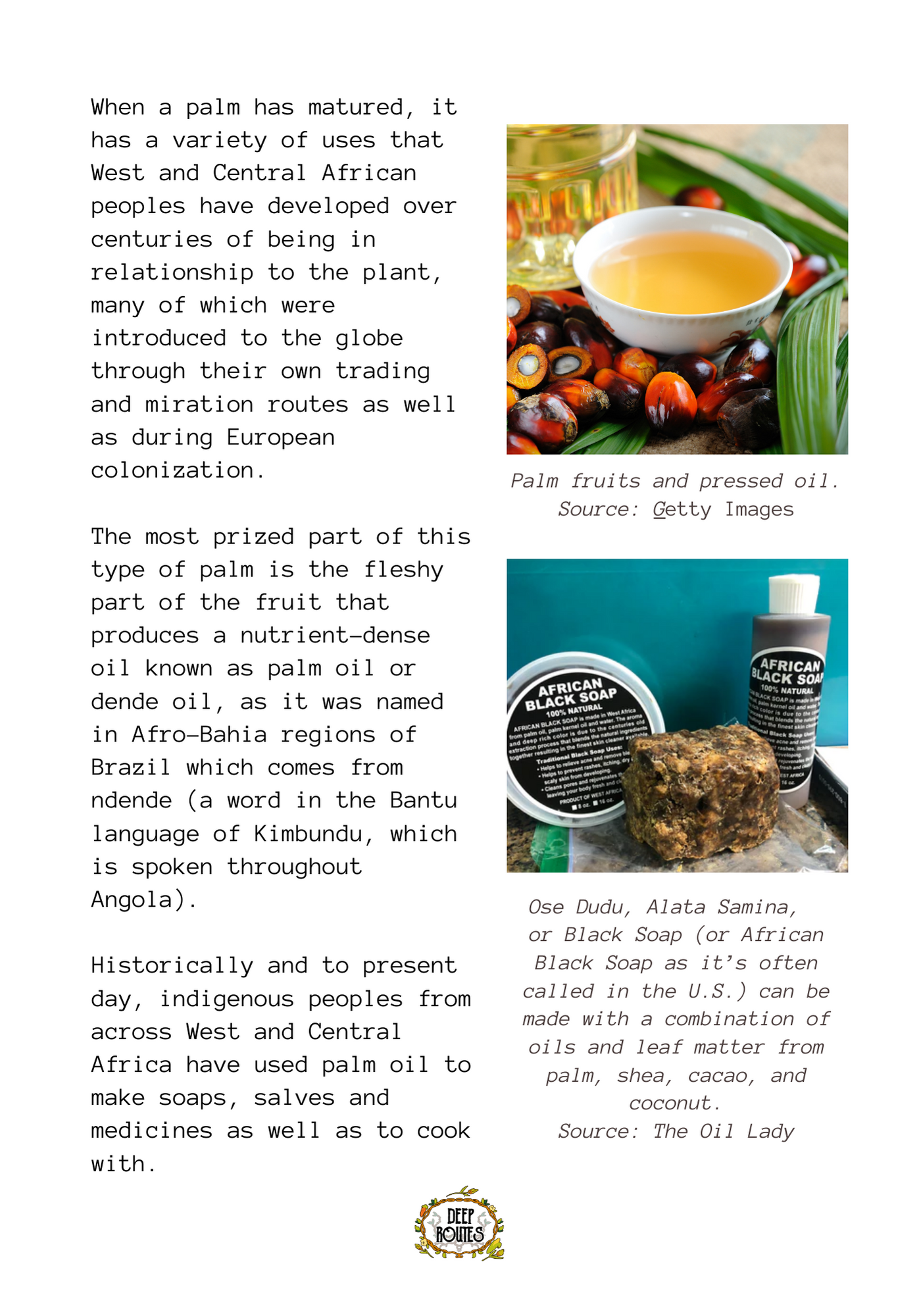 Coastal Stories of Akara (River Bites Mini Book #2)