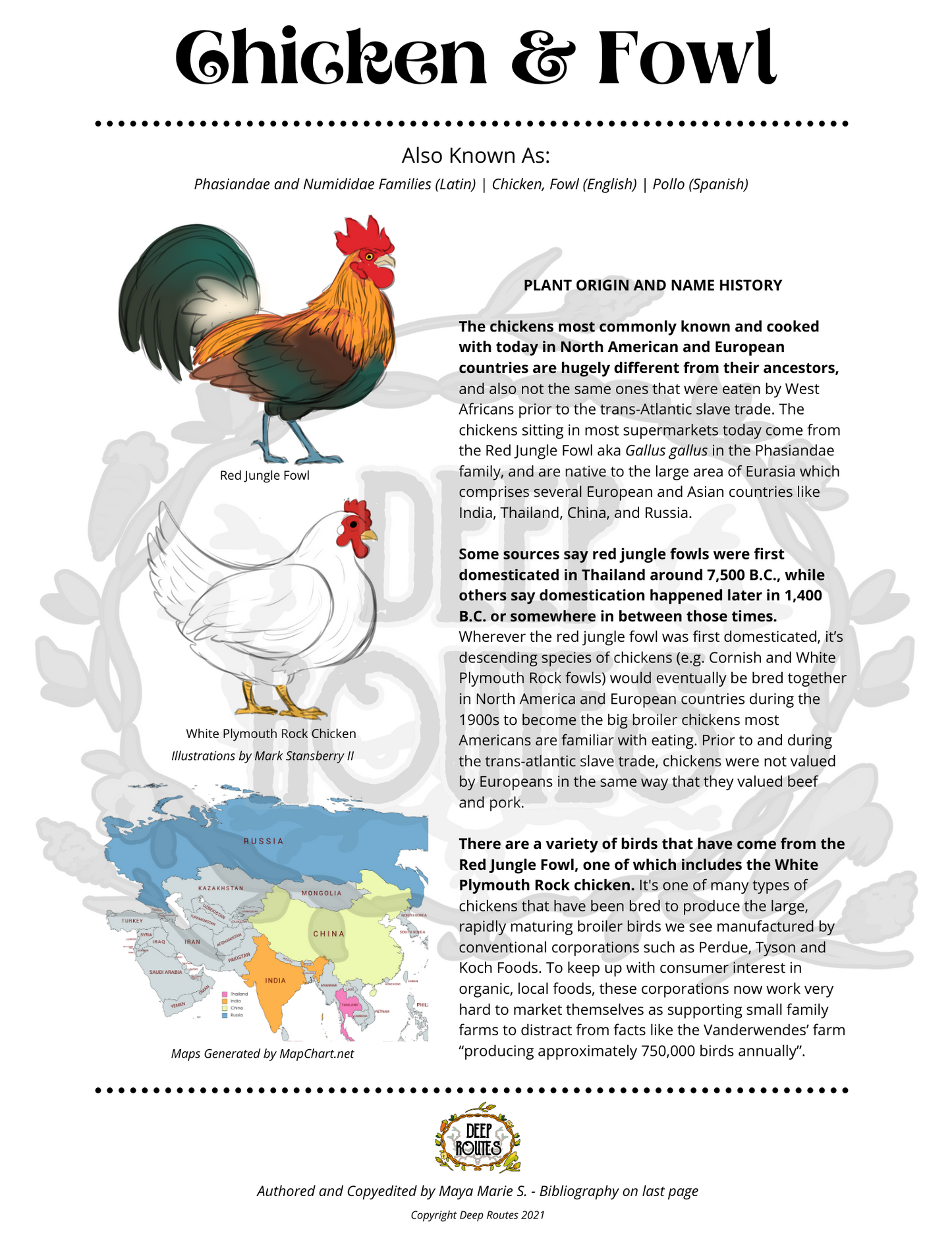 Chicken & Fowl Animal Profile (Digital)
