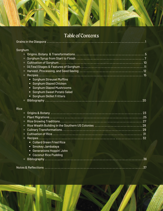 For the Love of Grains: A Guide to the Foodways of Sorghum & Rice