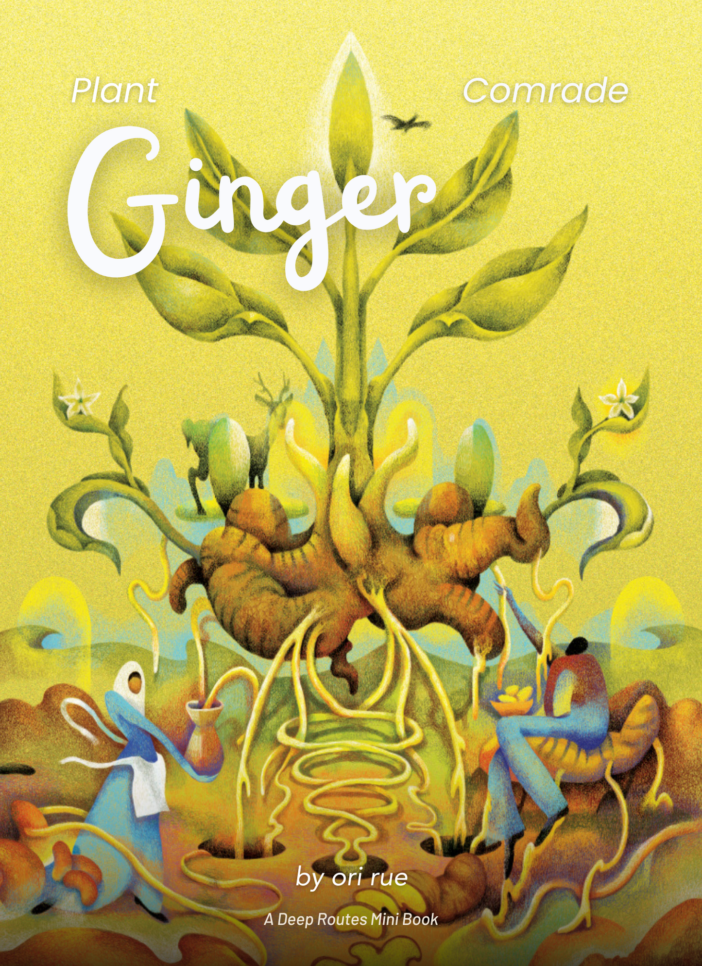 Plant Comrade: Ginger
