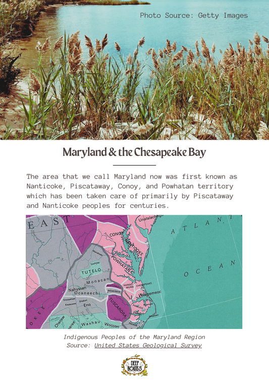 Bays & River Foodways of the South (River Bites Mini Book #1)