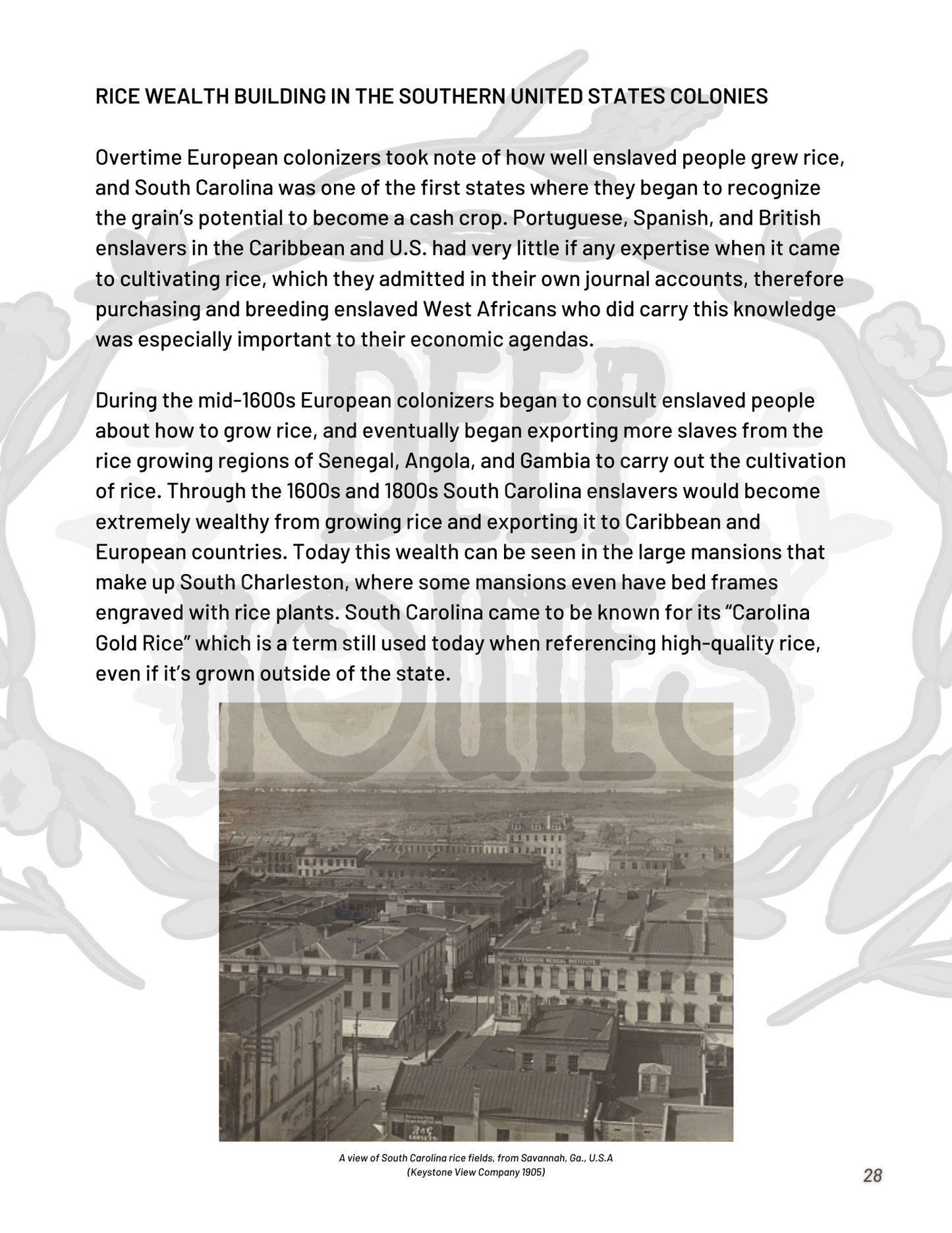 For the Love of Grains: A Guide to the Foodways of Sorghum & Rice