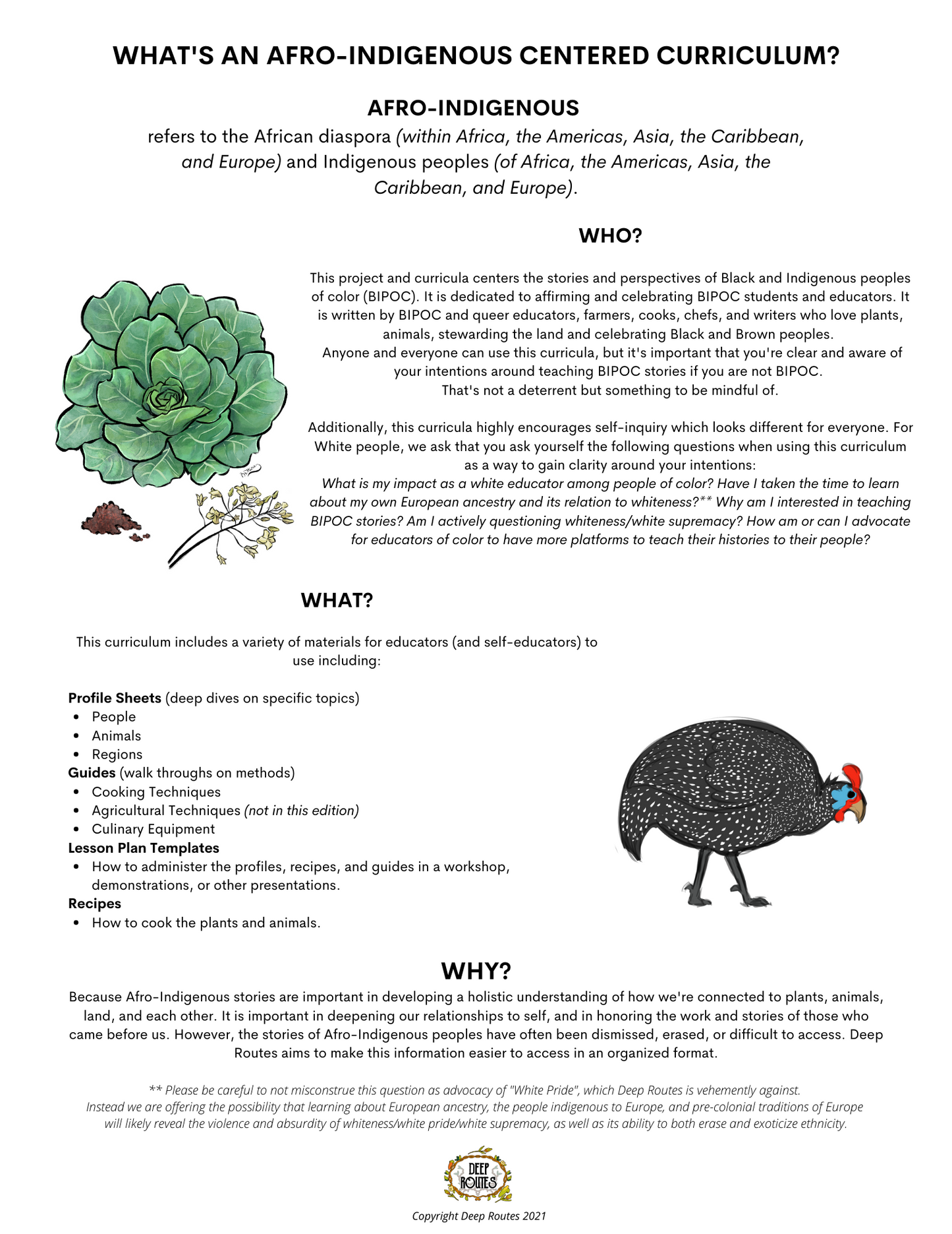 Description of the Who, What and Why of an Afro-Indigenous centered curriculum like Deep Routes.